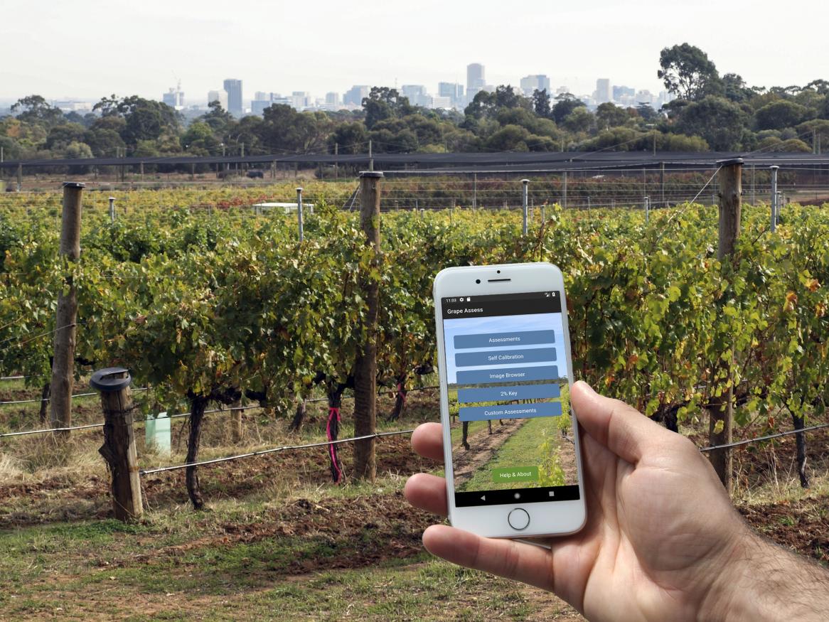 Data, Analytics & Insight