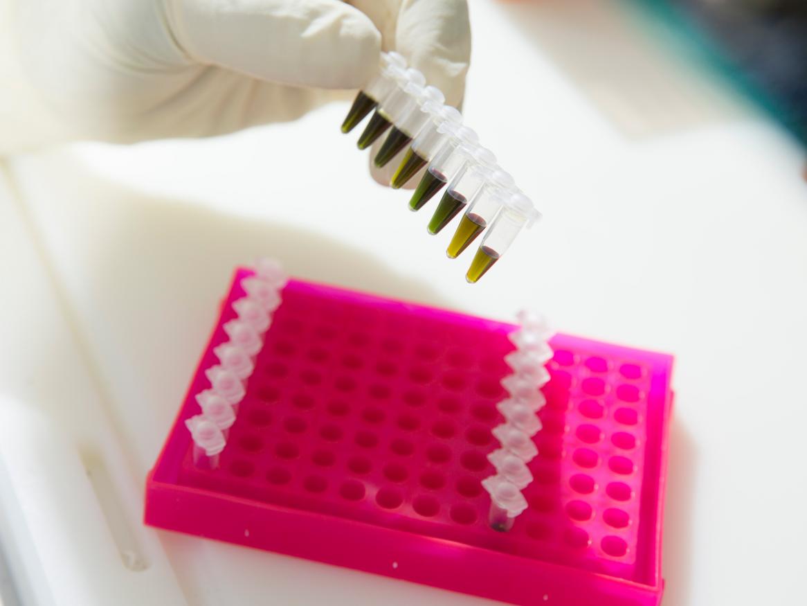 Histology Laboratory