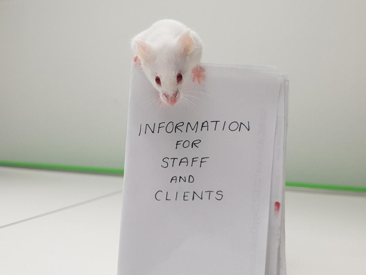 Information for staff and clients