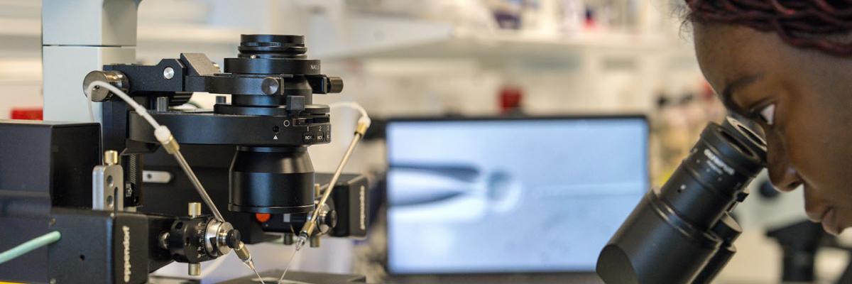 A researcher in a laboratory looking into a microscope with a focus on IVF procedures