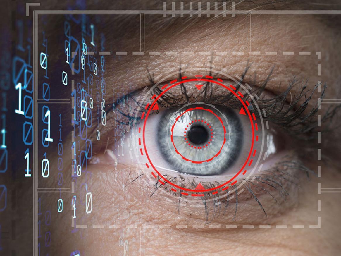 Faculty of Arts, Business, Law and Economics research