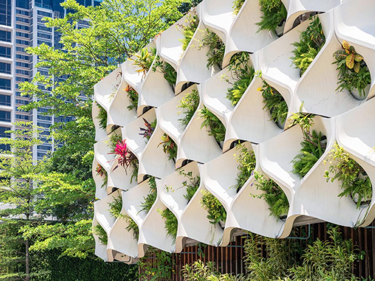 Living wall of plants