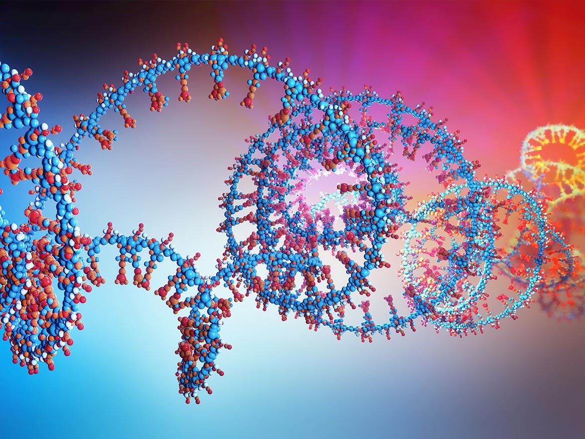 South Australian Genomics Centre (SAGC)