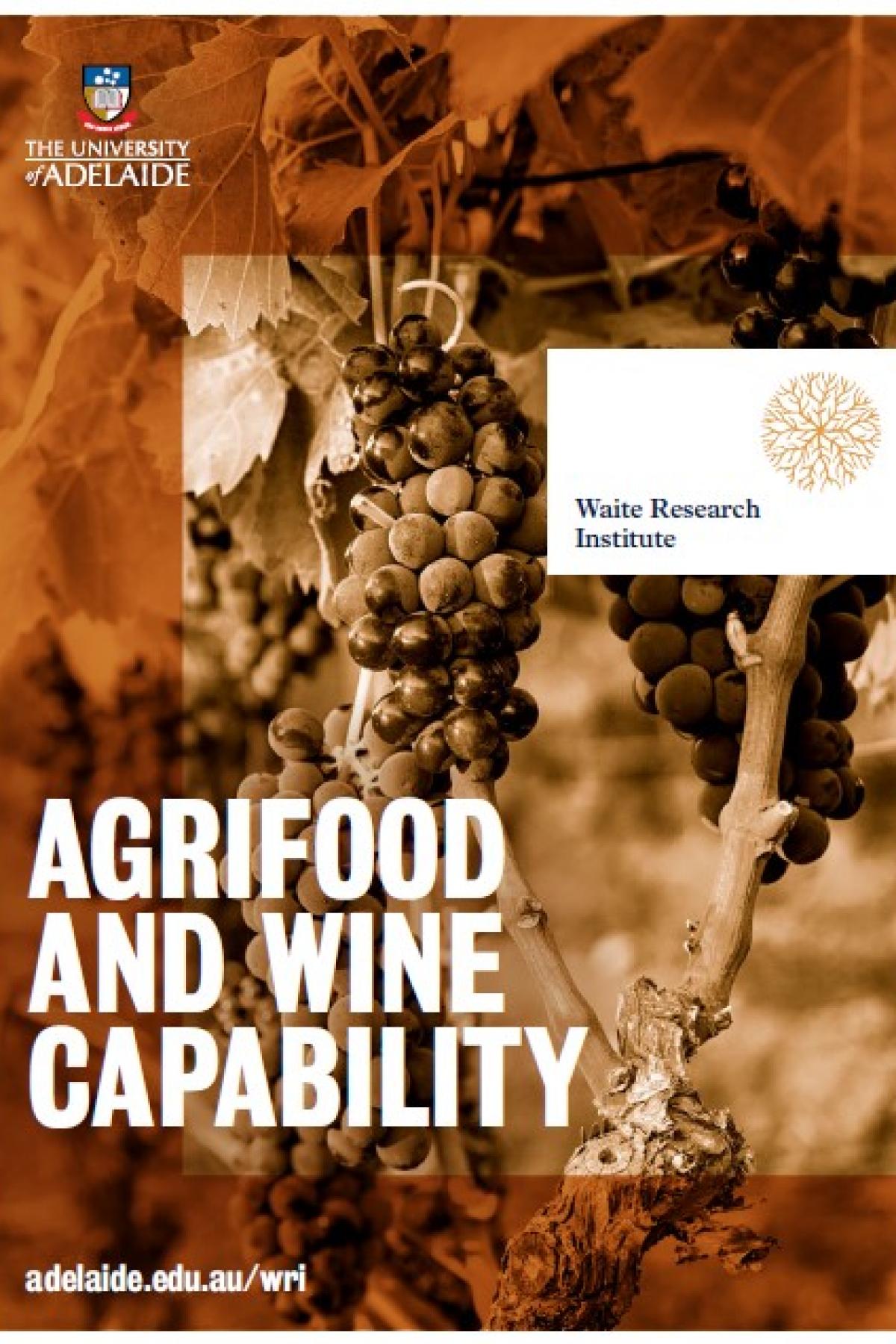 Capability document cover