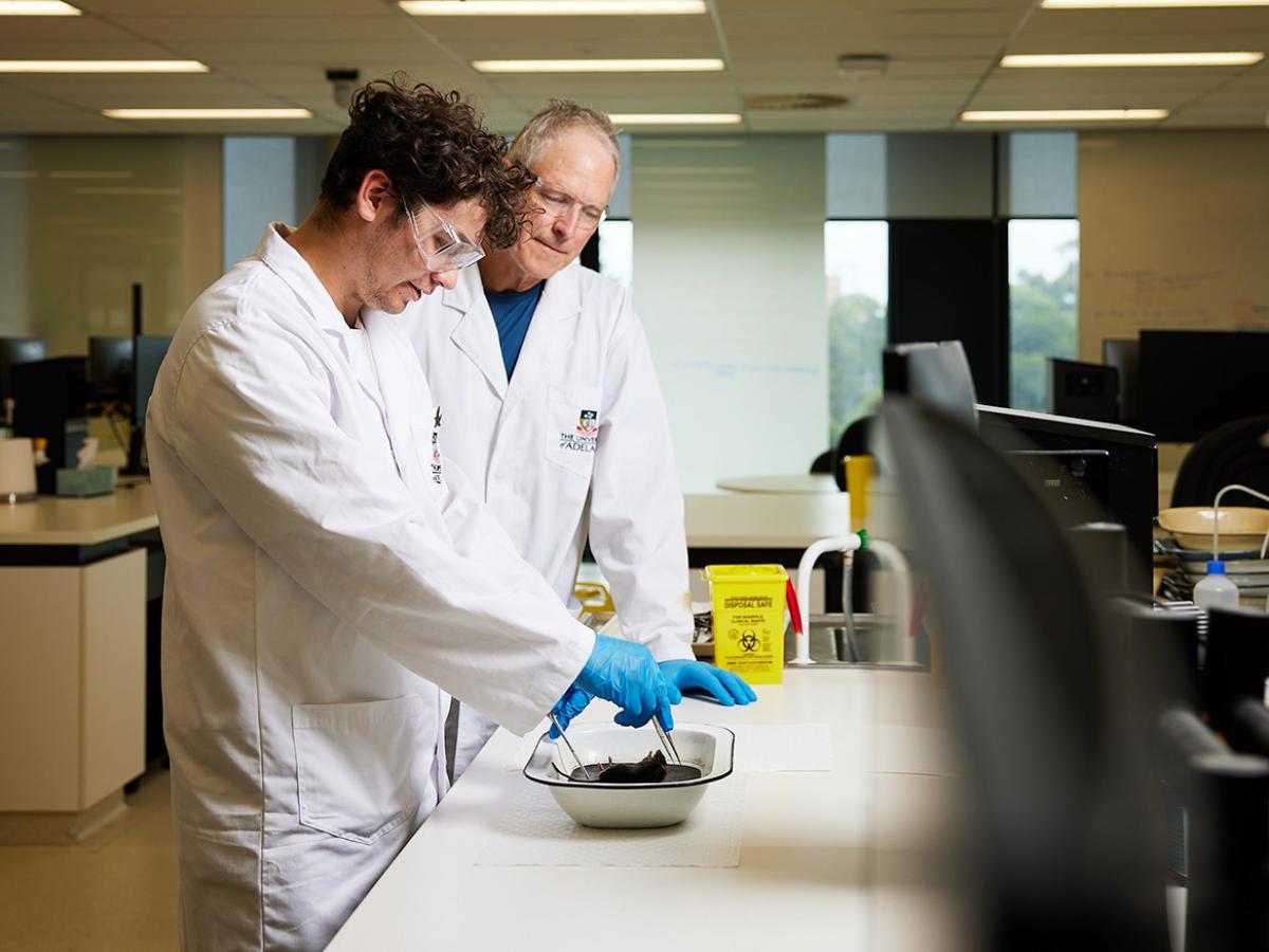 Wirltu Yarlu Academic Mentoring Program (WYAMP)