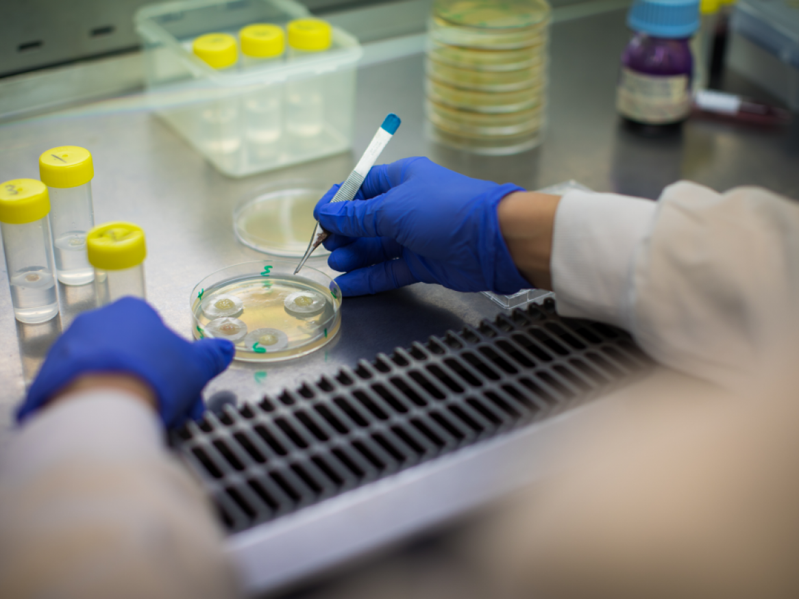 Faculty of Health and Medical Sciences research