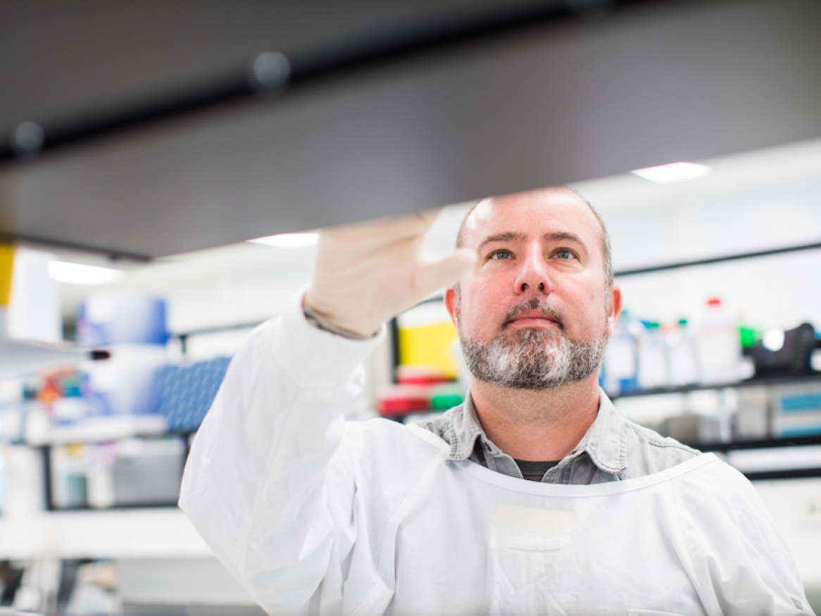 Research Services provides advice and support for University researchers and their sponsors