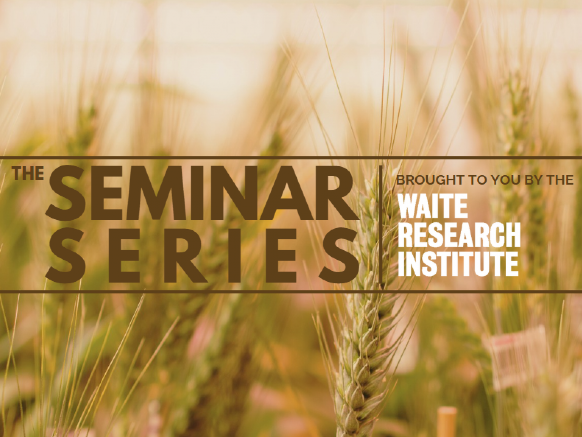 The seminar series